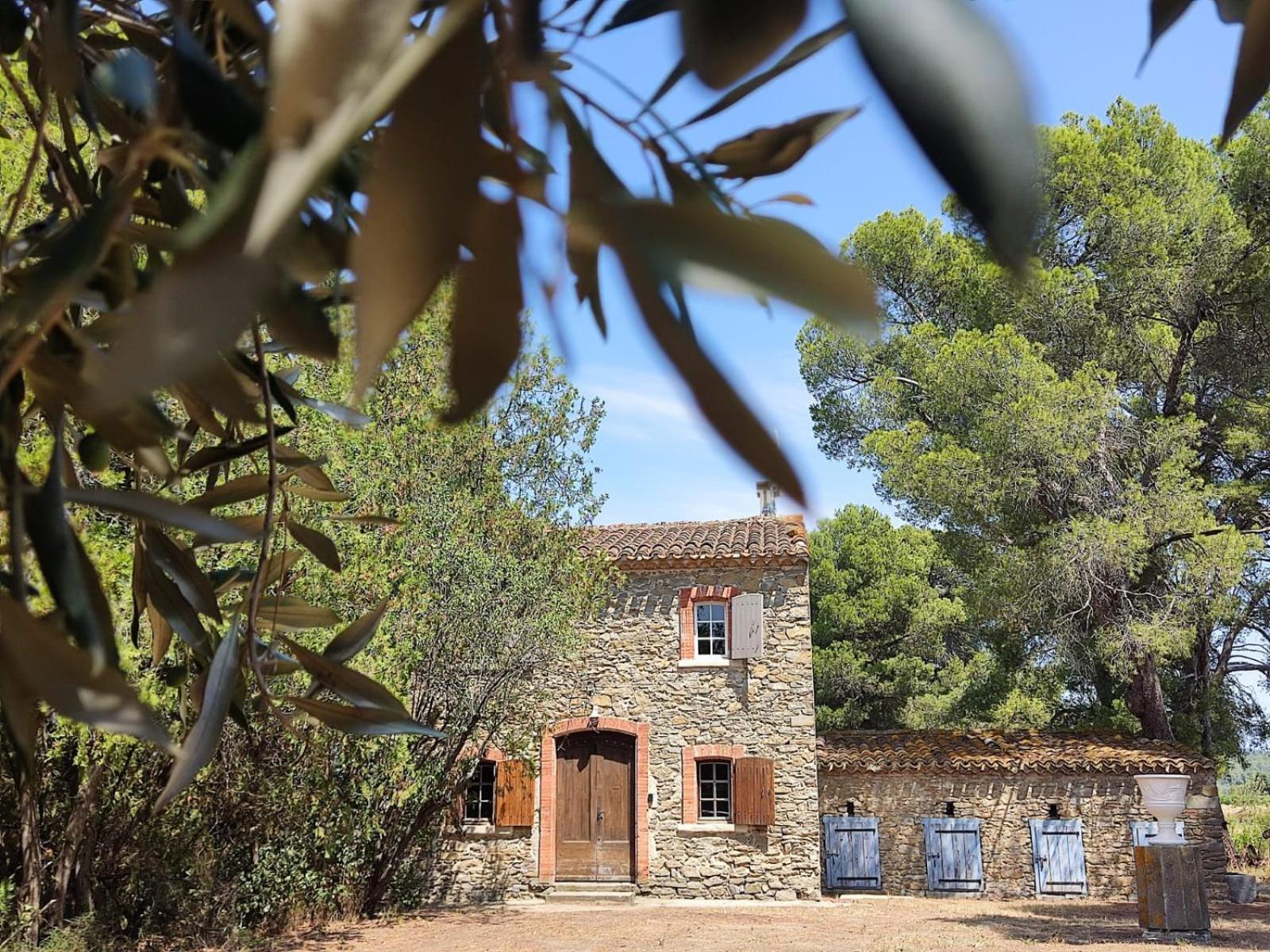 Mazet Du Chateau Joyeux De Violet Pepieux Exterior photo